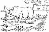 Free Printable Rhinoceros Coloring Pages For Kids sketch template