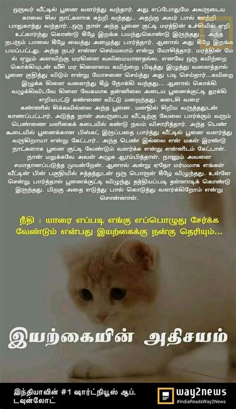 👍👍👍 | Moral stories, Tamil stories, Small stories for kids