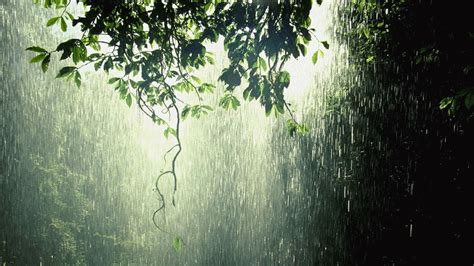 Animated Rain Wallpaper - WallpaperSafari