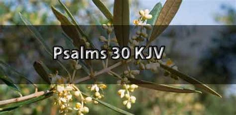 Psalm 30 KJV - psalms 30 king james version | End Time Message