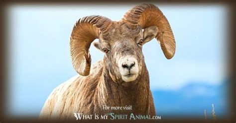 Ram Symbolism & Meaning | Spirit, Totem & Power Animal