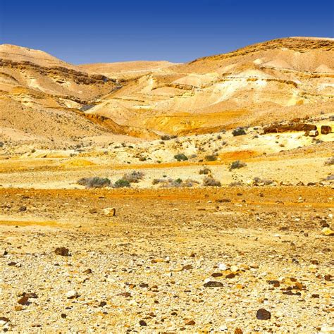 Desert in Israel stock image. Image of rocky, dirt, country - 178759353