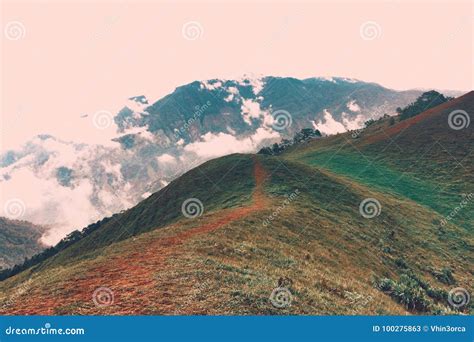 Rice Terraces in Maligcong, Mountain Province, Philippines Stock Image ...