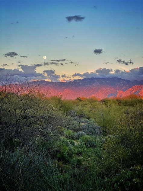 Catalina Mountains Sunset Photograph by Jerry Abbott - Pixels