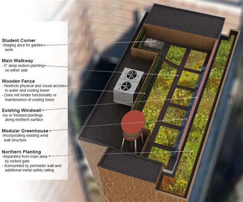 Green Roof Installation in Manhattan - Eco Brooklyn