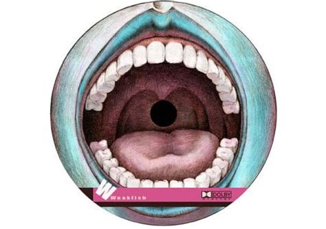 17 Creative CD Disc Art Designs - UnifiedManufacturing