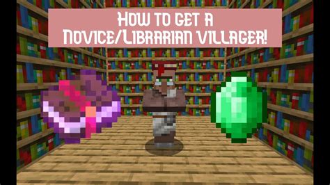 Librarian Villager