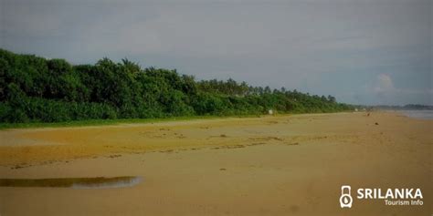 Know everything about Bentota Beach in Sri Lanka