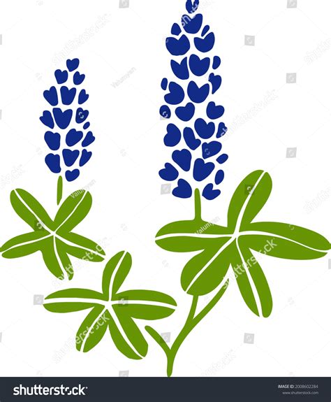 12,865 Bluebonnet Images, Stock Photos & Vectors | Shutterstock