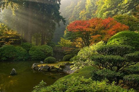 Pin by Mauricette G. on Destination : Japon (Japan) | Japan garden ...