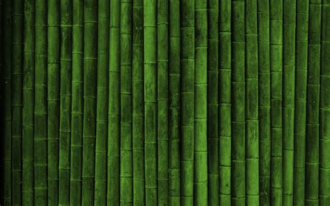 Bamboos backgound wallpaper | 1920x1200 | #29153