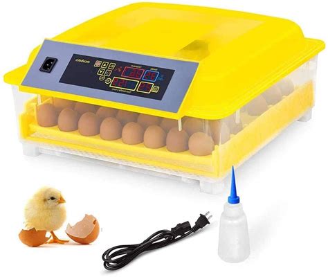 Buy Egg Incubator 48 Eggs Fully Automatic Digital Poultry Incubator ...