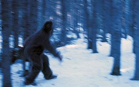 Yetis 'do exist'