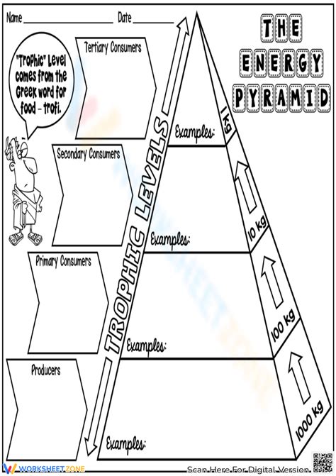 The Energy Pyramid Worksheet Worksheet