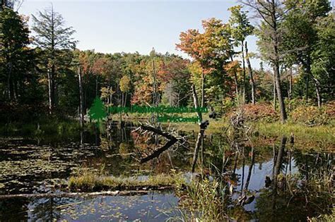 PhotosCanada.com Gallery :: Gatineau Park Photos, Ottawa, Canada’s ...