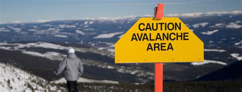 The Latest Techniques in Avalanche Control: A Guide for Avalanche Control Service Providers ...