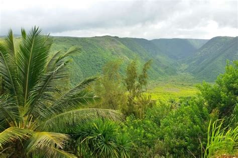 POLOLU VALLEY: Hike to Pololu Valley beach OR just see the lookout? 🌴 ...