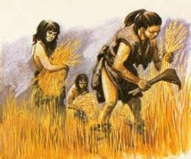 Neolithic Revolution - MaKayla's History website