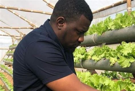 Agriculture is the answer to most of Ghana’s problems – John Dumelo