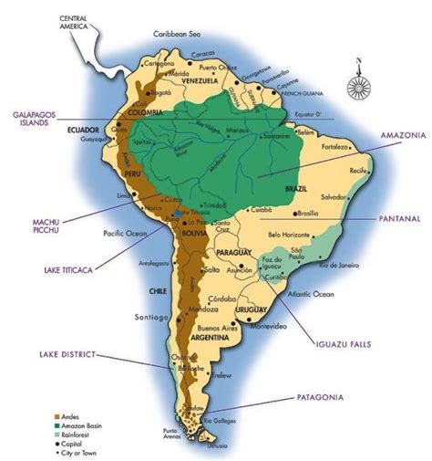 Where is the Amazon Rainforest Located? | Amazon rainforest map, South ...