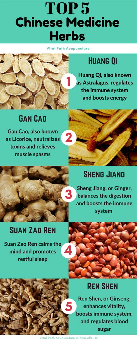 Top 5 Most Common Herbs Used in Chinese Medicine Herbalism. Learn more. | Herbalism, Herbal ...