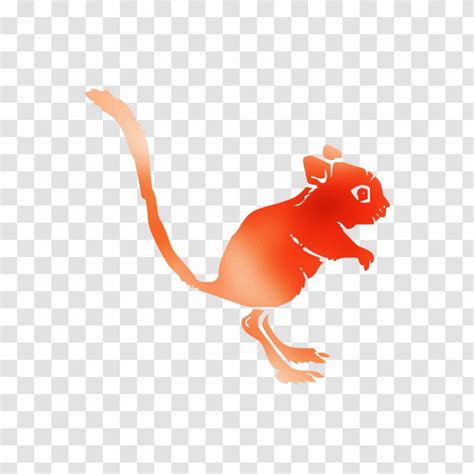 Rodent Carnivores - Muridae Transparent PNG