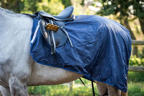 Waterproof Horse Blankets | Waterproof Quarter Sheet- Creature Comforts