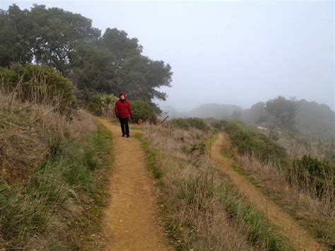 Hiking Angel Island - Mt Livermore Loop