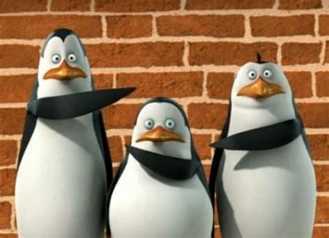 Penguins Of Madagascar Meme Templates