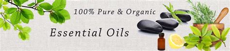 Buy Essential Oil in Bulk | Shop Now 100% Pure & Organic Essential Oils ...