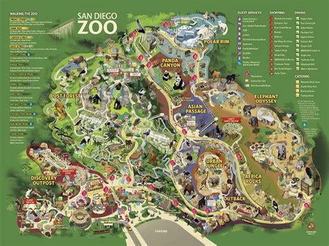 Map Of The San Diego Zoo | Tourist Map Of English