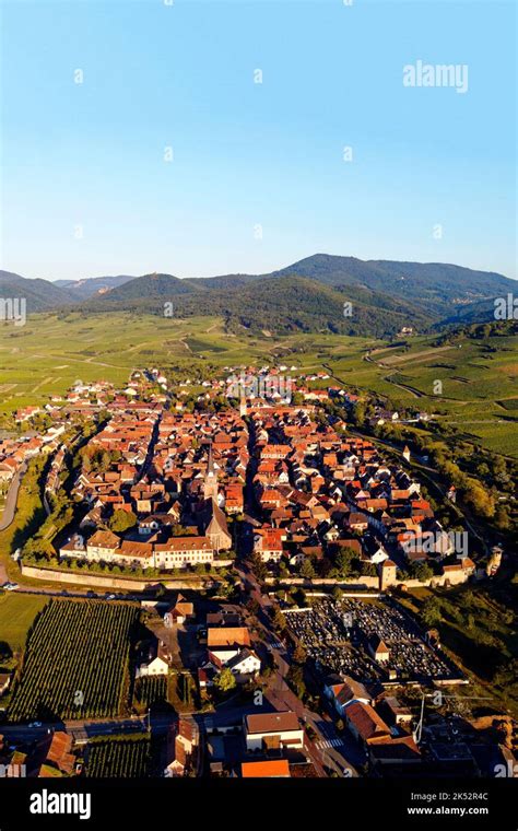 France, Haut Rhin, Alsace wine road, Bergheim, medieval walled ancient city, labelled Les Plus ...