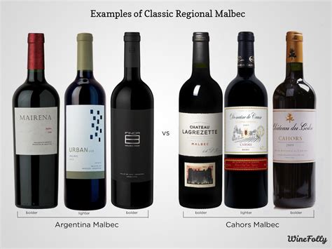 Learn the Difference: Argentinian Malbec vs. French Malbec | Wine Folly | Malbec wine, Malbec ...