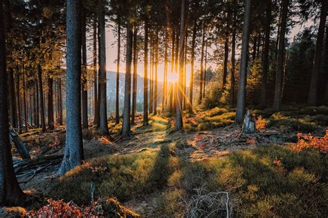 Harz Mountains, Germany by Stefan-Becker on DeviantArt