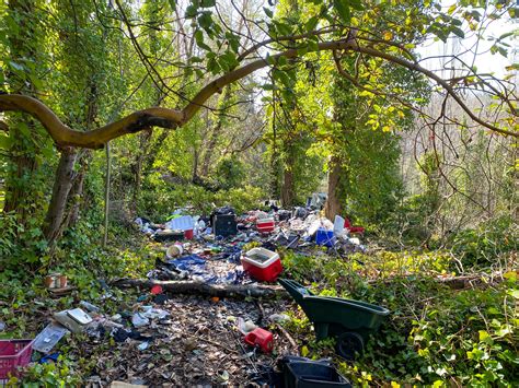 Louisa Boren STEM School / Encampment Cleanup — A Cleaner Alki