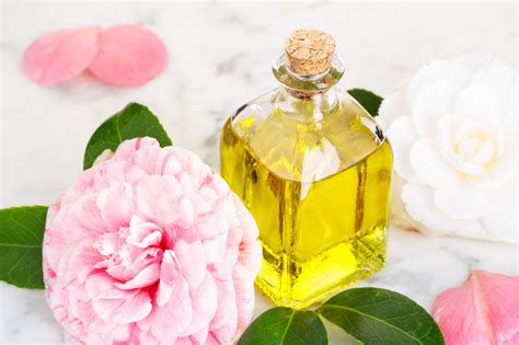 Camellia Oil: 5 Reasons Why Your Skin and Hair Need It Now