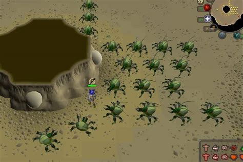 Kalphite OSRS Location Guide [2022]: The Best Guide! - Rune Fanatics