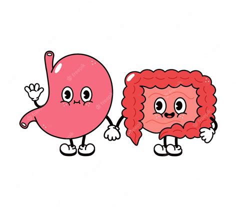 Premium Vector | Cute funny happy stomach and intestines character