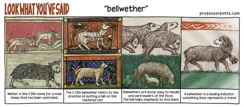 Bellwether Meaning