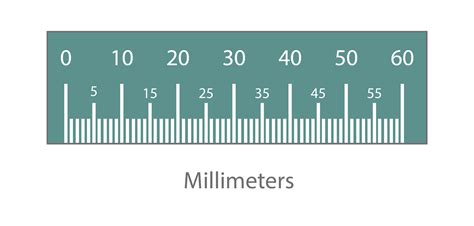 Ruler With Mm Printable