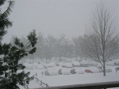 Snow Storm in New Hampshire | The Wonderful World