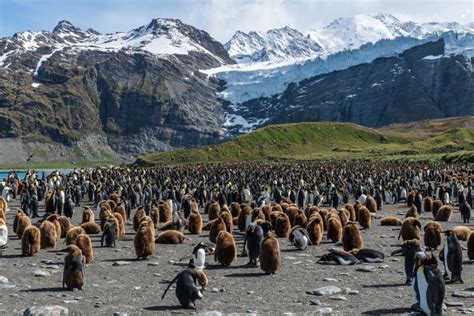 Antarctica Luxury Hotels: The BEST Places to Stay in Antarctica