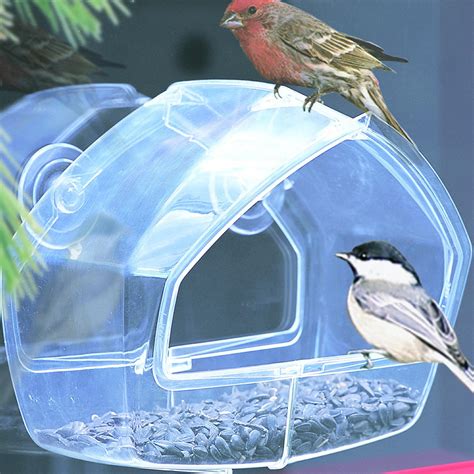 Birdscapes Clear Window Wild Bird Feeder