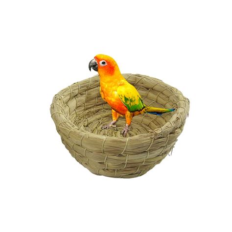 Aliexpress.com : Buy Hoomall 1PC Parrot Bird Cages Bird House Nest Bird ...