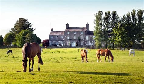 Irish National Stud & Gardens | Visit ireland, County kildare, Pony rides