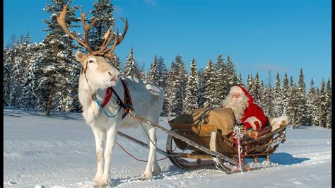 Christmas departure of Santa Claus🦌🎅 reindeer ride in Lapland Finland ...