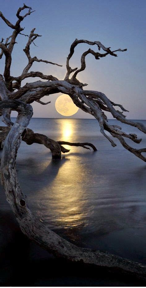 Mikael's Playground : Photo | Beautiful nature, Moon photography, Scenery