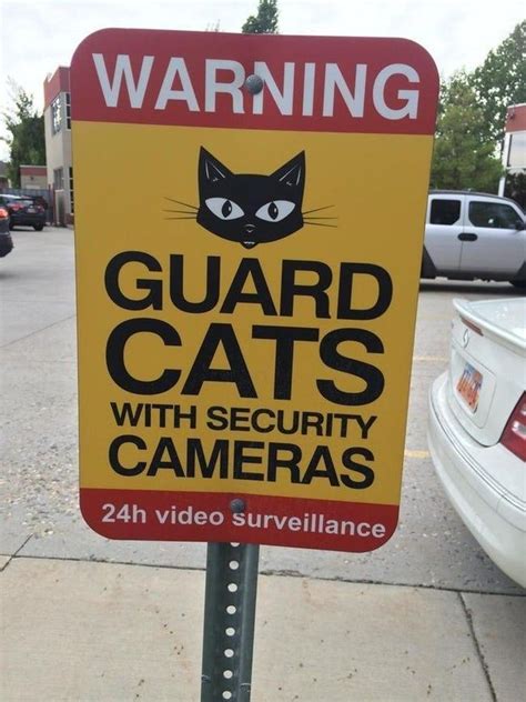 17 Funny "Beware of Cat" Signs to Be Taken Seriously Crazy Cat Lady ...