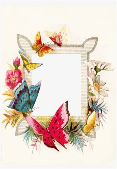 Butterfly Borders And Frames Png Clipart Butterfly - Feather Border And Frames Transparent PNG ...