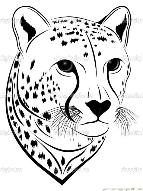 Cheetah face coloring page - Free Printable Coloring Pages